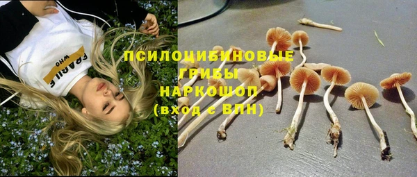крисы Алзамай