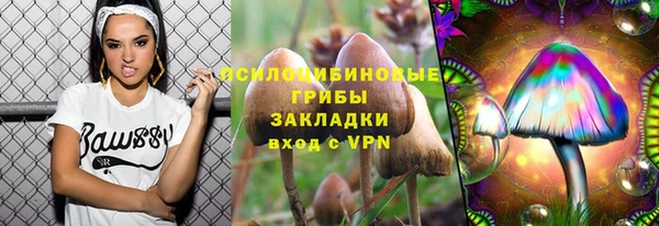 крисы Алзамай