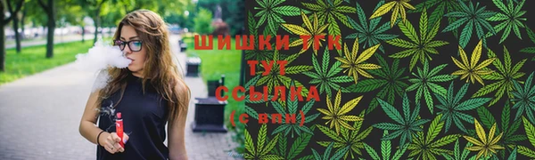 крисы Алзамай