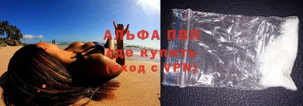 крисы Алзамай
